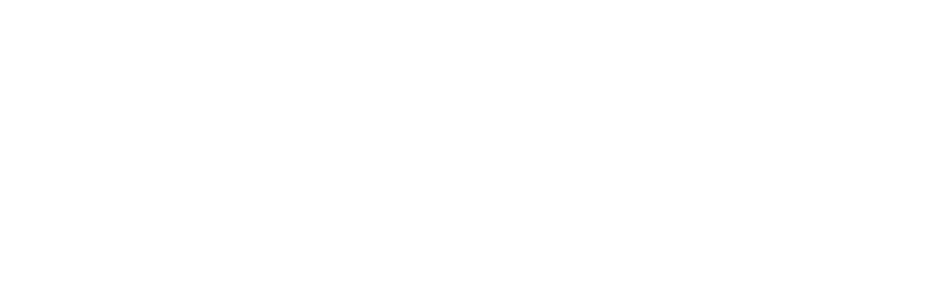 CNPQ logo