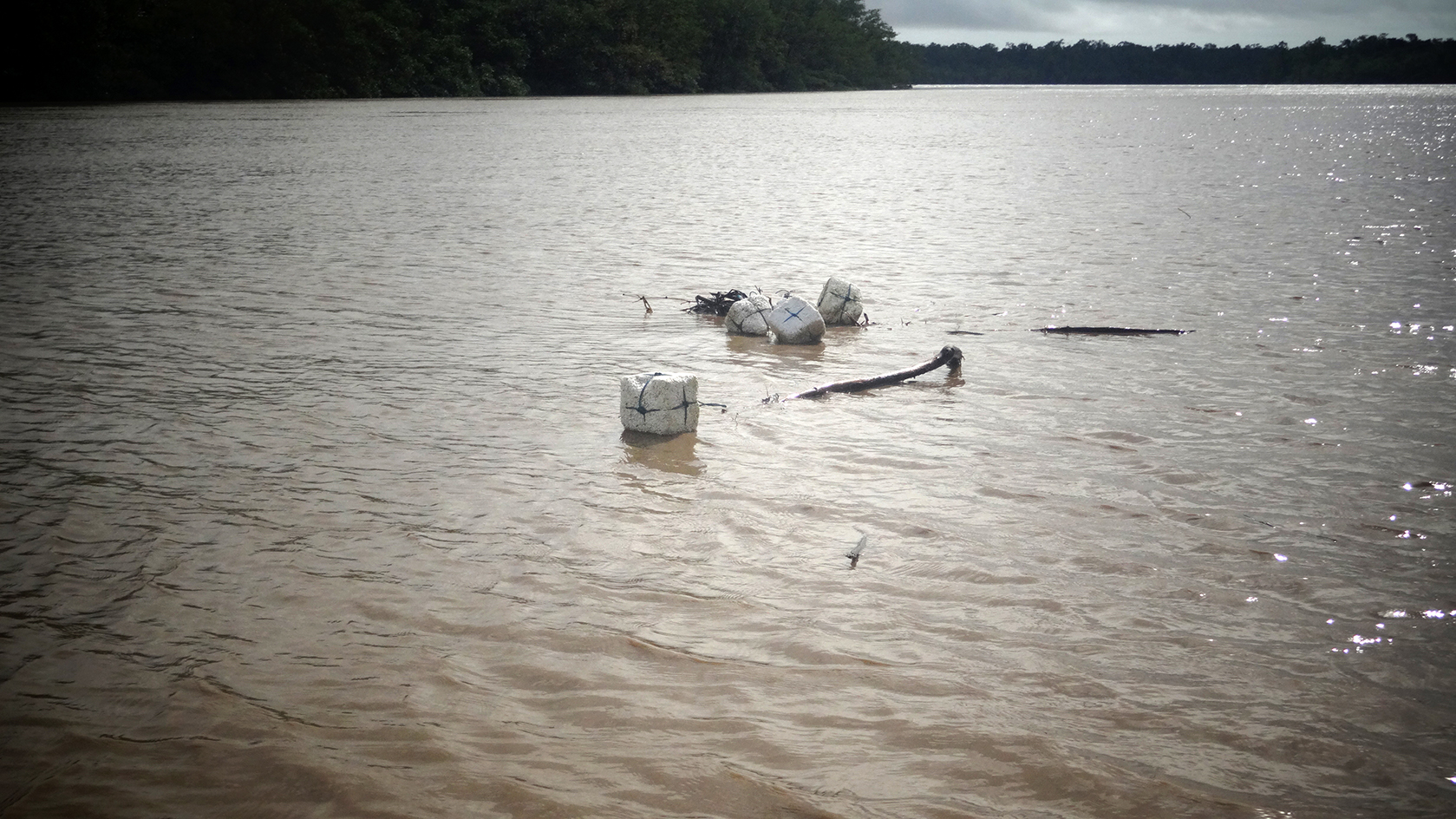 Pesca fantasma (vestígios de pesca em trecho marítimo) em Maracá, Jipioca